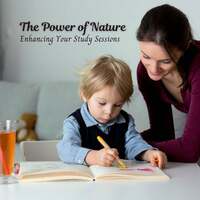 Thumbnail for the Reading and Studying Music - The Power of Nature: Enhancing Your Study Sessions link, provided by host site