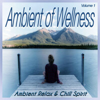 Thumbnail for the Montecristo - The Process of Continuity of Life - Original Mix link, provided by host site