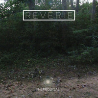 Thumbnail for the Reverie - The Prodigal link, provided by host site