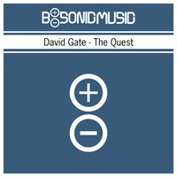 Thumbnail for the David Gate - The Quest link, provided by host site