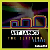 Thumbnail for the ANT LaROCK - The Question [Main Mix] link, provided by host site