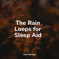 Thumbnail for the Calming Sounds - The Rain Loops for Sleep Aid link, provided by host site