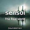 Thumbnail for the Sensai - The Real World / Encounter link, provided by host site