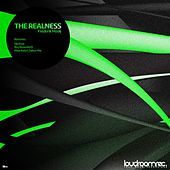 Thumbnail for the Frederik Mooij - The Realness link, provided by host site