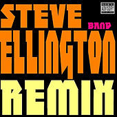 Thumbnail for the Steve Ellington - The Remix link, provided by host site