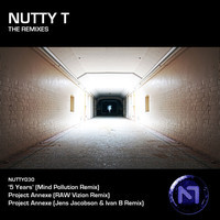 Thumbnail for the Nutty T - The Remixes link, provided by host site