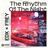 Thumbnail for the EDX - The Rhythm Of The Night link, provided by host site