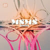 Image of MSMS linking to their artist page due to link from them being at the top of the main table on this page