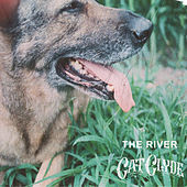 Thumbnail for the Cat Clyde - The River link, provided by host site