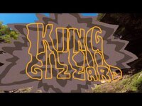 Thumbnail for the King Gizzard & The Lizard Wizard - The River link, provided by host site