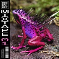 Thumbnail for the Foals - The Runner (RÜFÜS DU SOL Remix) [Mixed] link, provided by host site