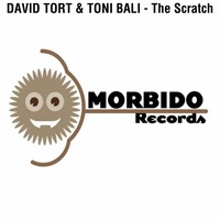 Thumbnail for the David Tort - The Scratch link, provided by host site