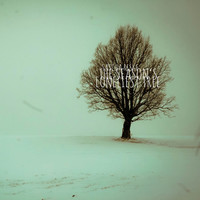 Thumbnail for the Sascha Reske - The Season's Loneliest Tree link, provided by host site