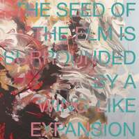 Thumbnail for the Auger - The Seed of the Elm Is Surrounded by a Wing-Like Expansion link, provided by host site