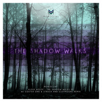 Thumbnail for the Alexx Wolfe - The Shadow Walks link, provided by host site