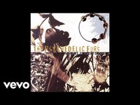 Thumbnail for the Psychedelic Furs - The Sometimes link, provided by host site