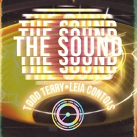 Thumbnail for the Todd Terry - The Sound link, provided by host site