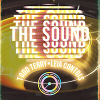 Thumbnail for the Todd Terry - The Sound link, provided by host site