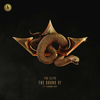 Thumbnail for the Coone - The Sound Of link, provided by host site