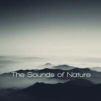 Thumbnail for the Sounds Of Nature - The Sounds Of Nature link, provided by host site