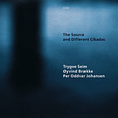 Thumbnail for the Trygve Seim - The Source link, provided by host site