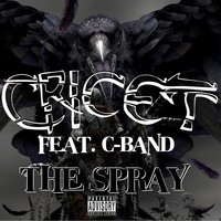 Thumbnail for the Cricet - The Spray link, provided by host site