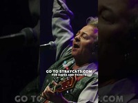 Thumbnail for the Brian Setzer - The Stray Cats are back and ready to rock this fall! Head to straycats.com for tour dates & details link, provided by host site