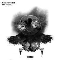 Thumbnail for the Mario Puccio - The Strings link, provided by host site