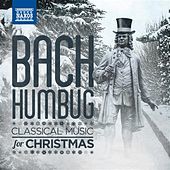 Thumbnail for the Eaken Piano Trio - The Sussex Mummers' Christmas Carol link, provided by host site