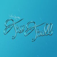 Thumbnail for the Wiz Khalifa - The Thrill link, provided by host site