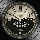 Thumbnail for the Housego - The Timeloop link, provided by host site