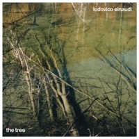 Thumbnail for the Ludovico Einaudi - The Tree link, provided by host site