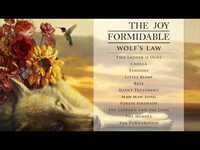 Thumbnail for the The Joy Formidable - The Turnaround from Wolf's Law link, provided by host site