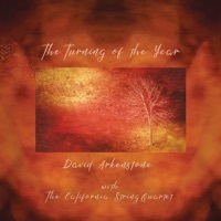 Thumbnail for the David Arkenstone - The Turning of the Year link, provided by host site