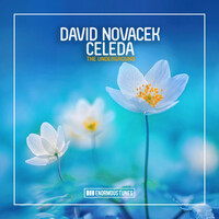 Thumbnail for the David Novacek - The Underground link, provided by host site