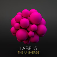 Thumbnail for the Label5 - The Universe link, provided by host site