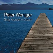Thumbnail for the Peter Weniger - The Vibe link, provided by host site