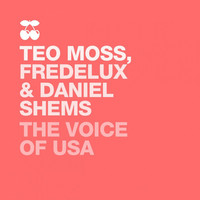 Thumbnail for the Daniel Shems - The Voice of the USA - Yes We Dub Def Mix link, provided by host site