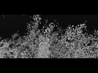 Thumbnail for the José González - The Void link, provided by host site