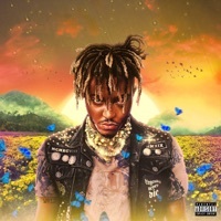 Thumbnail for the Juice WRLD - The Way link, provided by host site