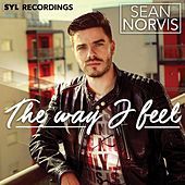 Thumbnail for the Sean Norvis - The Way I Feel link, provided by host site