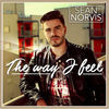 Thumbnail for the Sean Norvis - The Way I Feel link, provided by host site