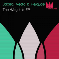 Thumbnail for the Vedic - The Way It Is link, provided by host site