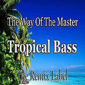 Thumbnail for the Paduraru - The Way Of The Master / Tropical Bass (Inspiring Proghouse Meets Vibrant Deephouse Music) link, provided by host site