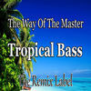 Thumbnail for the Paduraru - The Way of the Master / Tropical Bass (Inspiring Proghouse Meets Vibrant Deephouse Music) link, provided by host site