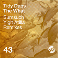 Thumbnail for the Tidy Daps - The What link, provided by host site