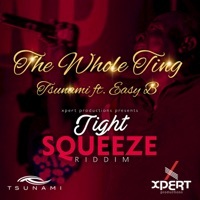 Thumbnail for the Tsunami - The Whole Ting [Tight Squeeze Riddim] link, provided by host site