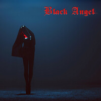 Thumbnail for the BlackAngel - The Widow - Extended Deluxe link, provided by host site