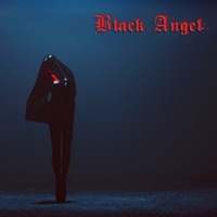 Thumbnail for the BlackAngel - The Widow (Extended Version) link, provided by host site