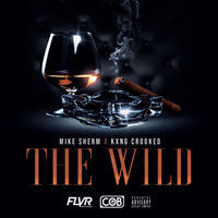 Thumbnail for the Mike Sherm - The Wild link, provided by host site
